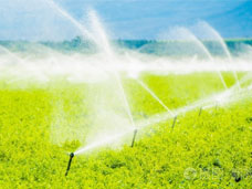 優(yōu)聯(lián)時(shí)空攜手施奈仕，推動中國智能農(nóng)業(yè)新發(fā)展