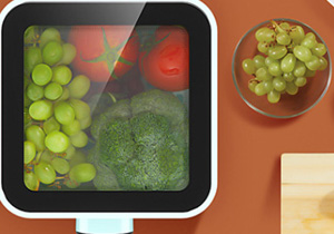 智慧林?jǐn)y手施奈仕,造就智能洗菜機高品質(zhì)