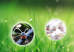 今日的質(zhì)量，明日的市場！