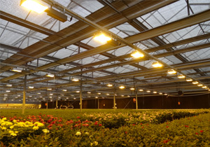 植物燈線路板三防膠|通過UL認(rèn)證|符合VOC標(biāo)準(zhǔn)