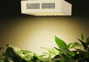 可完美替代進(jìn)口品牌|國(guó)產(chǎn)三防漆廠家|廣東施奈仕