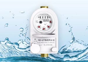 專業(yè)服務(wù)：施奈仕與成都長城開發(fā)公司攜手共進(jìn)