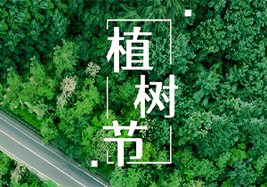 植樹(shù)節(jié)：綠色同行，共筑生態(tài)未來(lái)