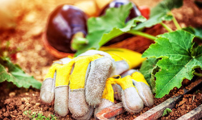 高溫電子灌封膠|防水電子灌封膠|電子灌封膠廠家-施奈仕