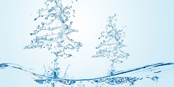 環(huán)氧電子灌封膠|電子環(huán)氧樹脂灌封膠|環(huán)氧電子灌封膠生產(chǎn)廠家-施奈仕