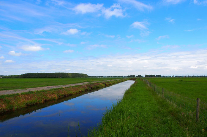環(huán)氧電子灌封膠|電子環(huán)氧樹脂灌封膠|環(huán)氧電子灌封膠生產(chǎn)廠家-施奈仕