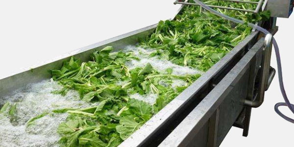 商用洗菜機