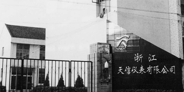 天信儀表集團有限公司