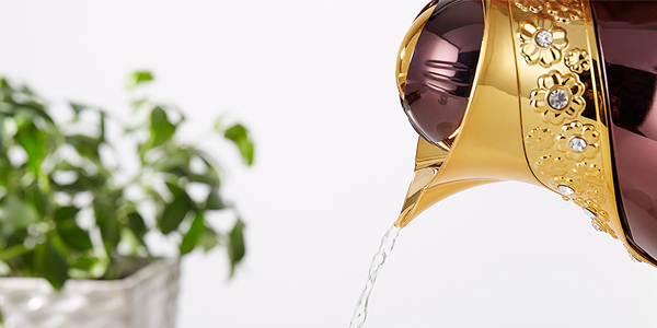 熱水壺導(dǎo)熱硅脂