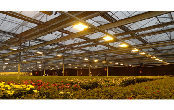 線路板三防漆,有機硅線路板三防漆,植物燈線路板三防漆