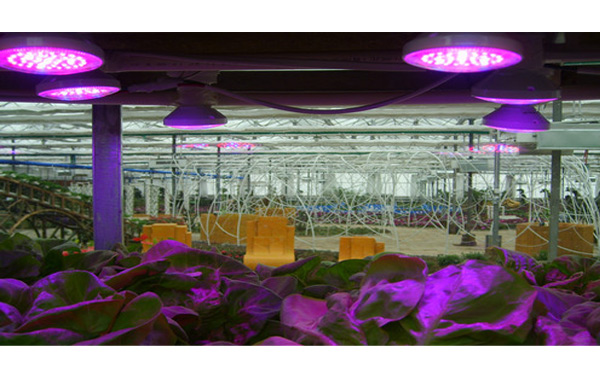 線路板三防漆,有機硅線路板三防漆,植物燈線路板三防漆