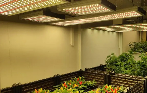 線路板三防漆,有機(jī)硅線路板三防漆,LED線路板三防漆