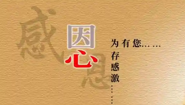 感恩的力量：施奈仕人的感恩節(jié)，銘記每一份支持與陪伴